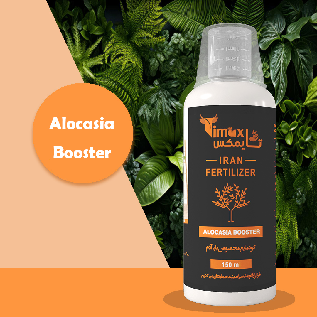 Timax Alocasia Booster