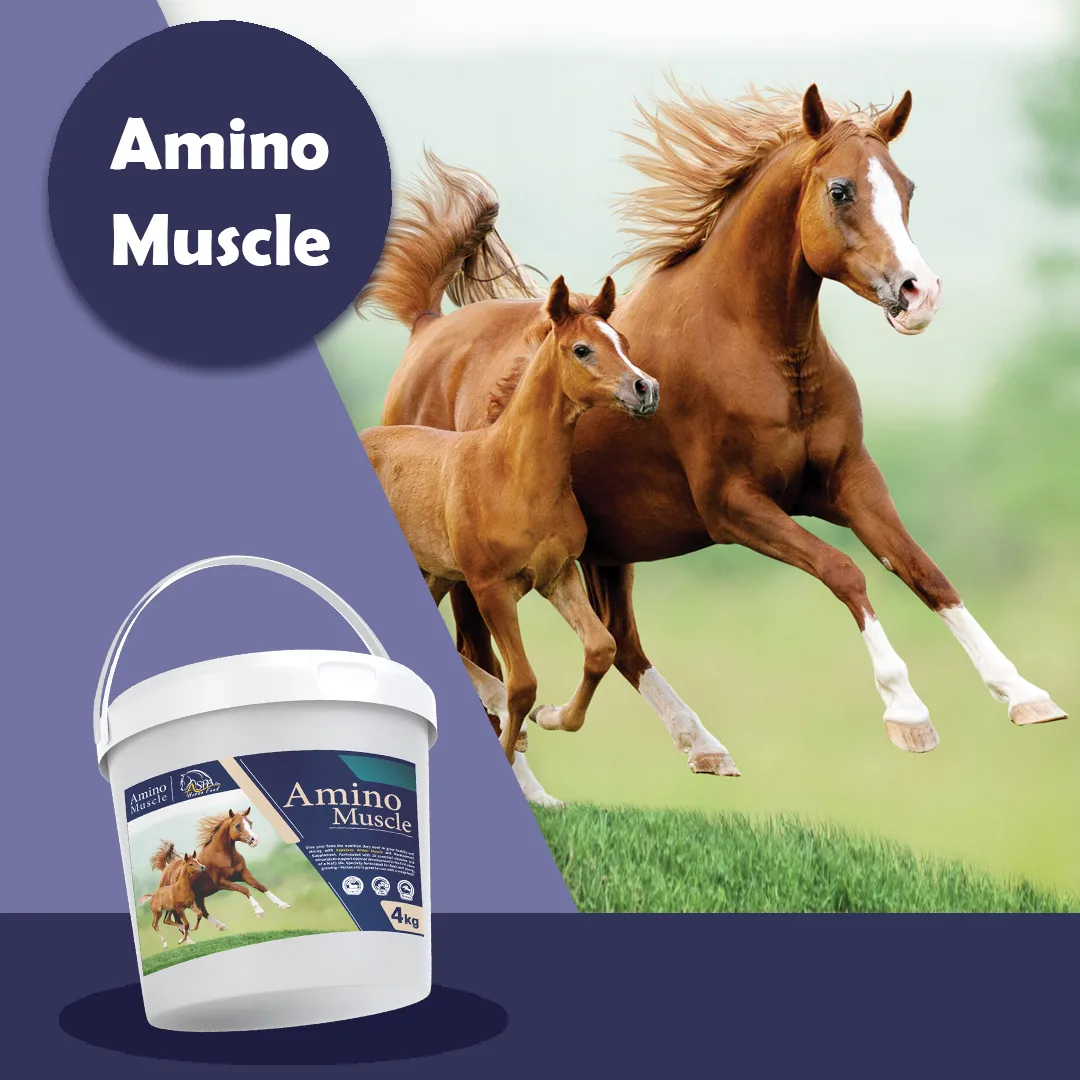 Amino Muscle