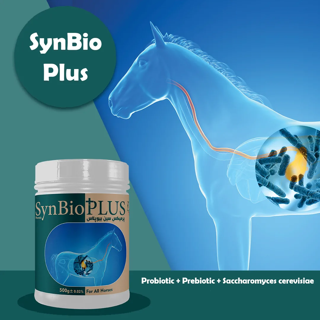 SynBio PLUS