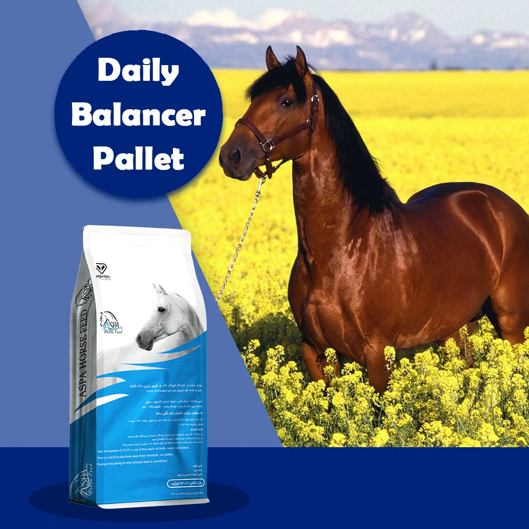 Daily Balance Pallet