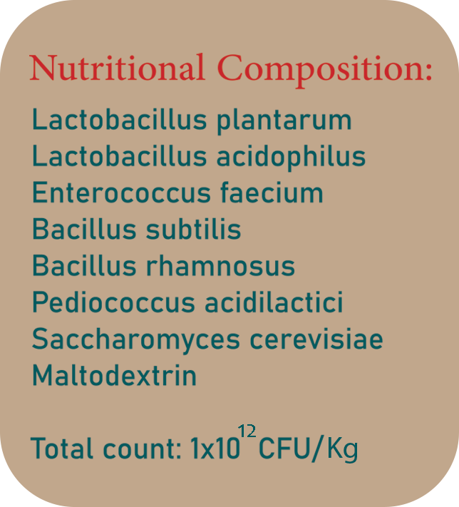 مکمل SYNBIO PLUS <br></noscript> سین بیوپلاس