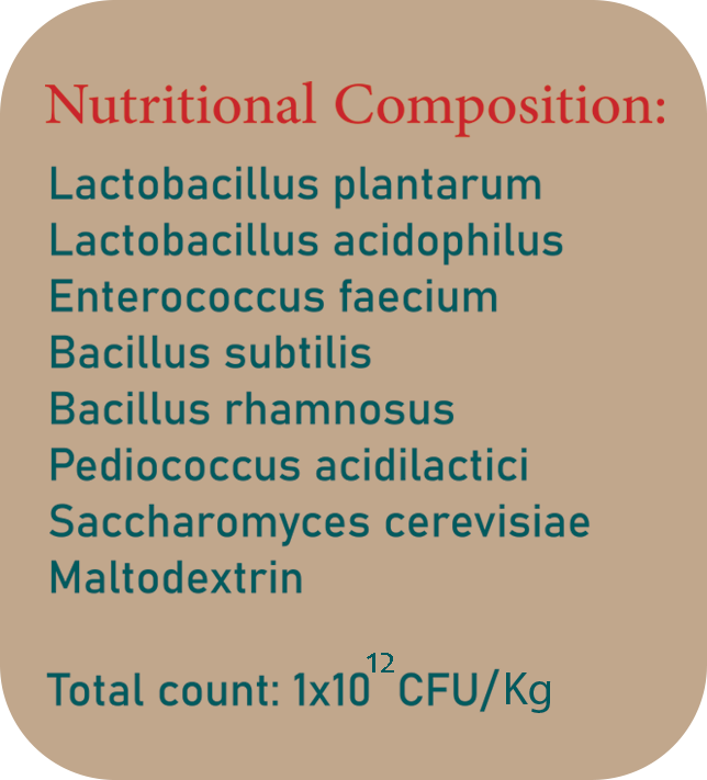 مکمل SYNBIO PLUS <br></noscript> سین بیوپلاس
