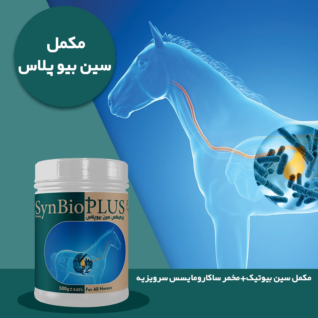 مکمل SYNBIO PLUS <br></noscript> سین بیوپلاس