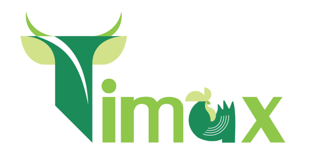 دیجی تایمکس - Digitimax